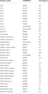 The malaria parasite chaperonin containing TCP-1 (CCT) complex: Data integration with other CCT proteomes